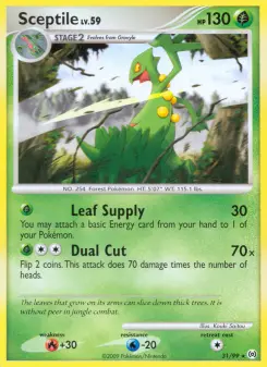 Carta Sceptile