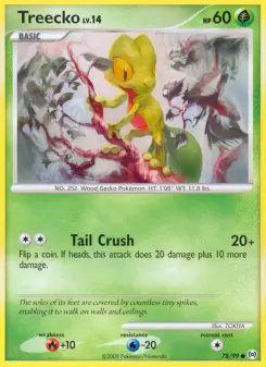 Carta Treecko
