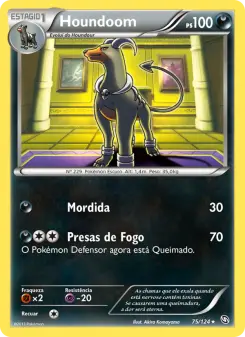 Carta Houndoom