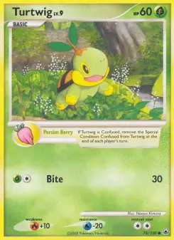 Carta Turtwig