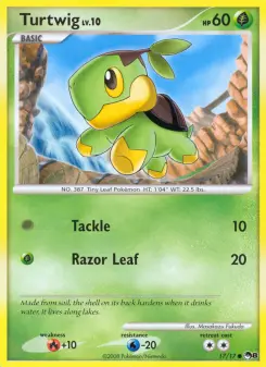 Carta Turtwig