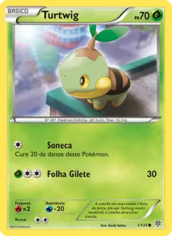 Carta Turtwig