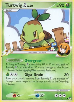 Cartas de Turtwig