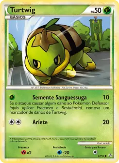 Carta Turtwig